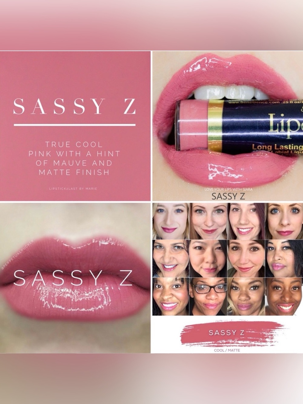 Cool Mauve Matte Lipsense in Sassy - Z